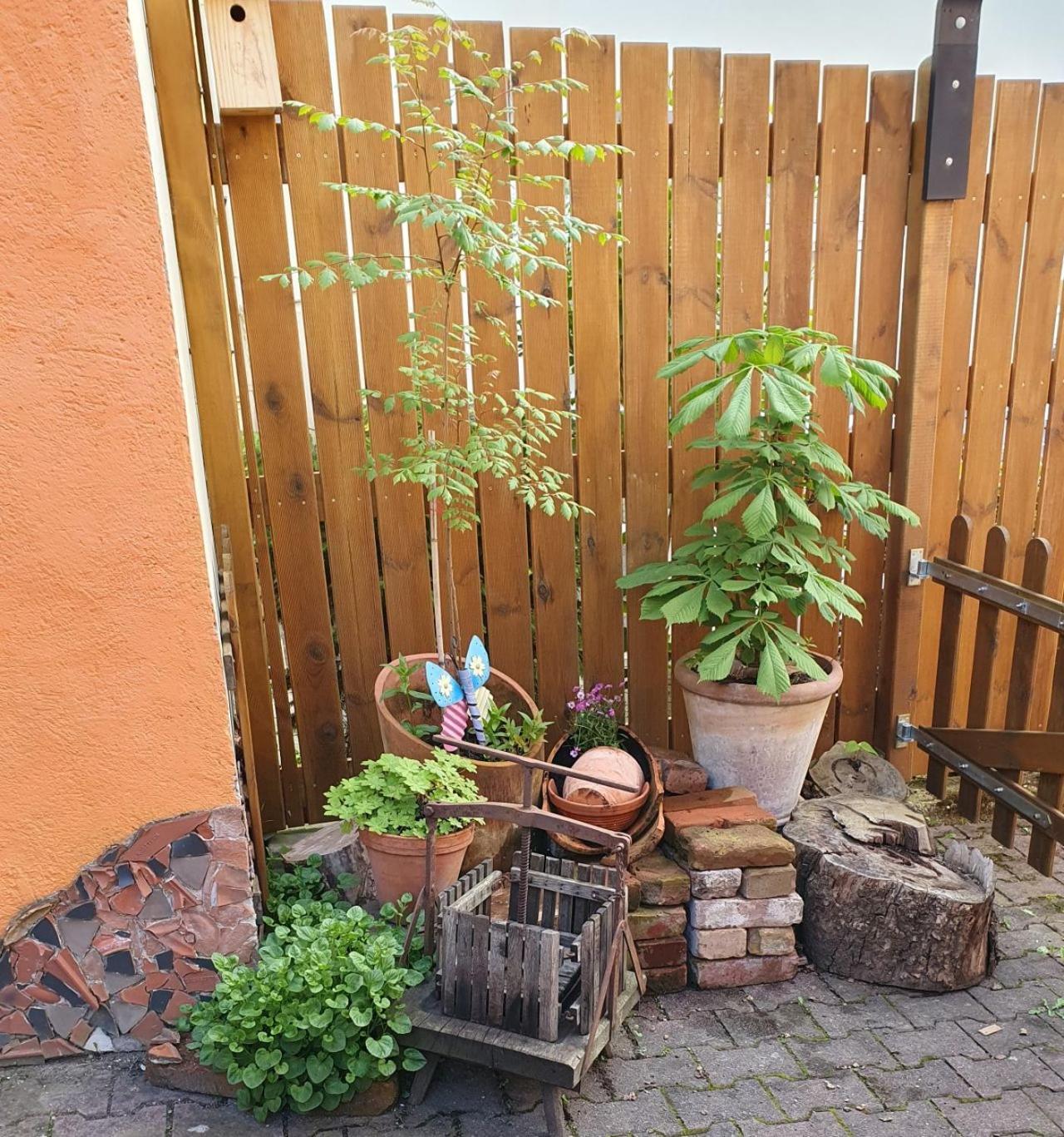 WeiselHaus Zwanzig别墅 外观 照片
